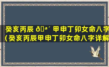 癸亥丙辰 🪴 甲申丁卯女命八字（癸亥丙辰甲申丁卯女命八字详解）